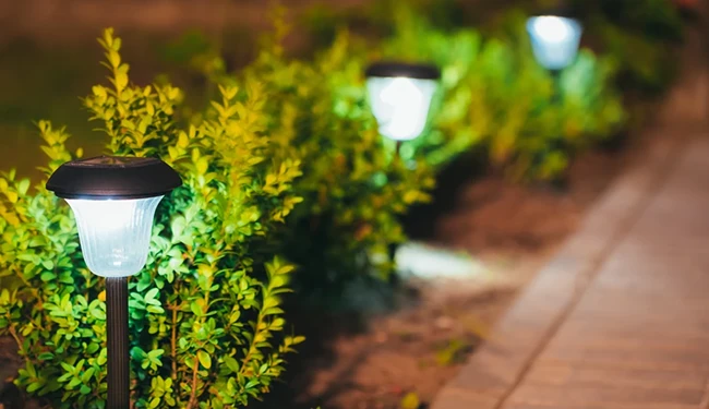 Landscape Lighting