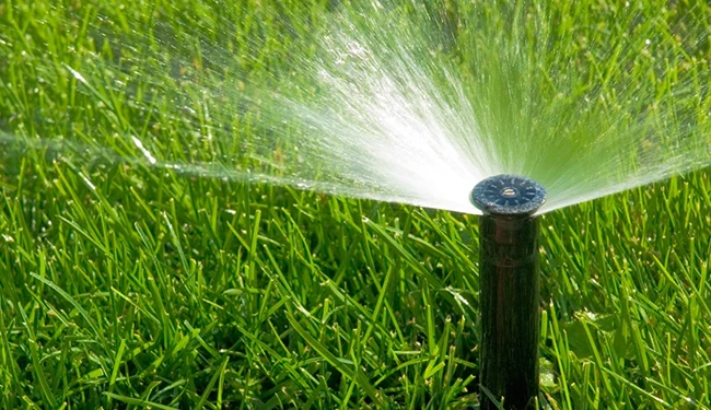 Lawn Sprinkler