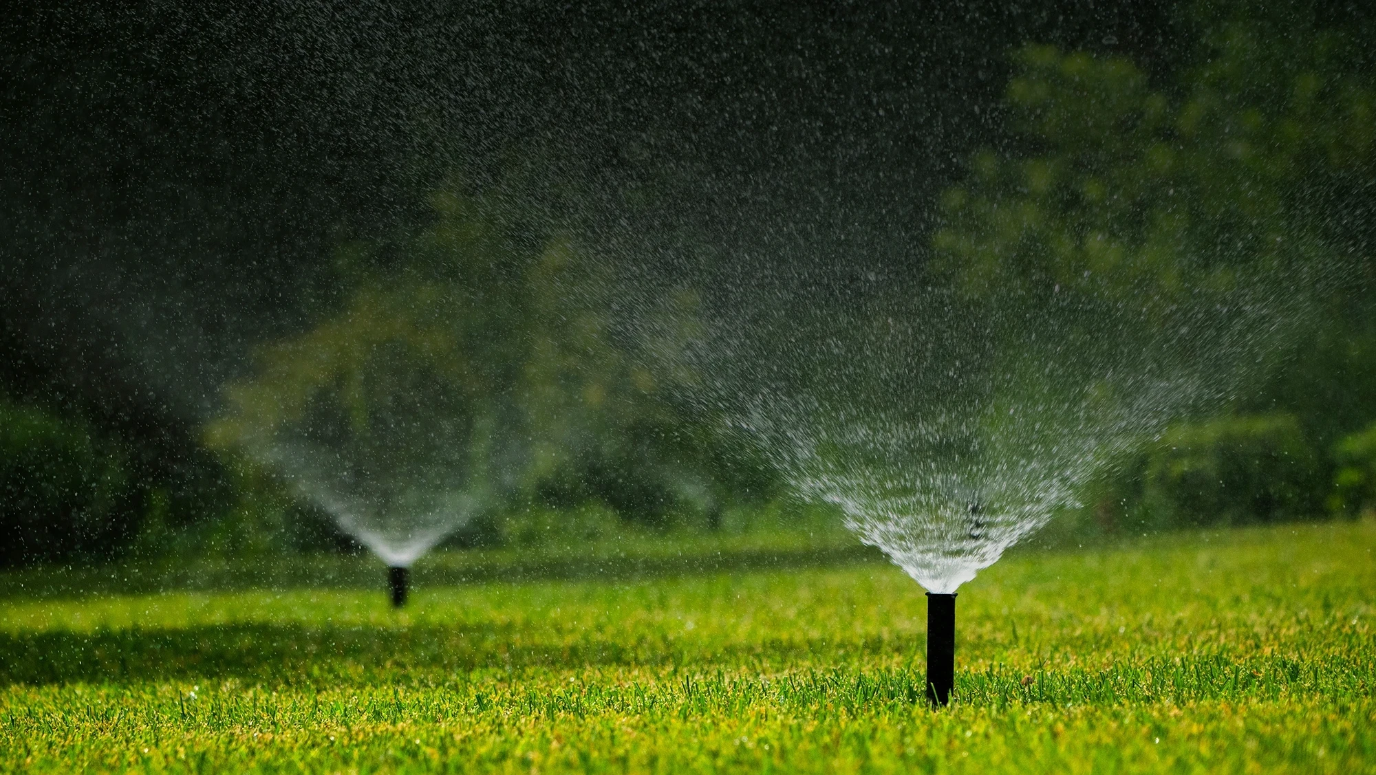 Lawn Sprinkler background